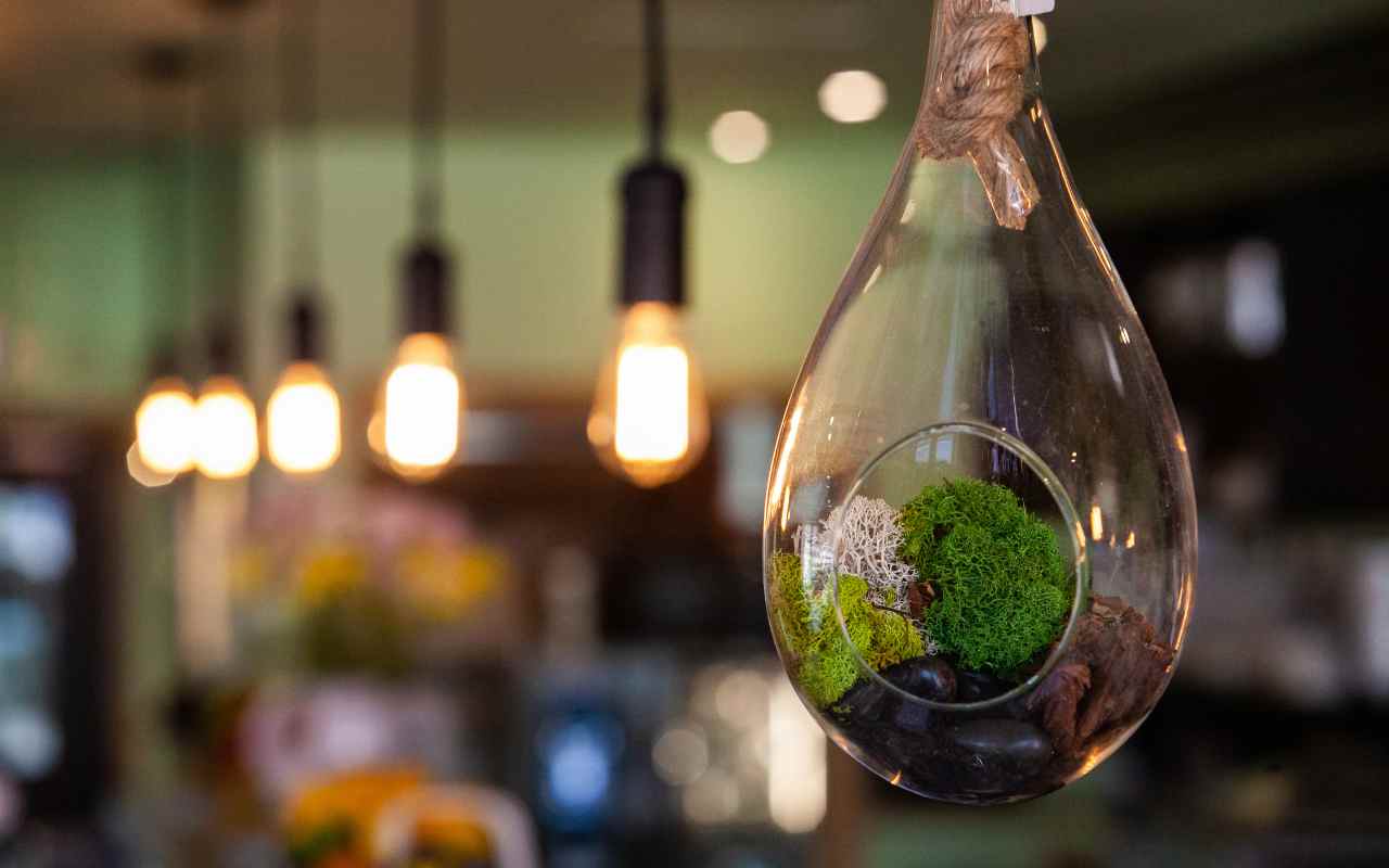 Eco-Culinária: O Casamento entre Energia Sustentável e Receitas Deliciosas